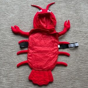 Red Lobster Dog Costume